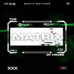 cover: Mafia Natives - The Matrix Of House Vol 1 [Channel Your Mind]