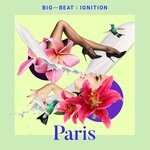 cover: Various - Big Beat Ignition: Paris