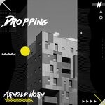 cover: Arnold Horn - Dropping