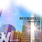 cover: Panos - Tek Pulse