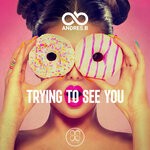 cover: Andres B - Trying To See You