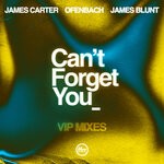 cover: James Blunt|James Carter|Ofenbach - Can't Forget You (VIP Mixes)