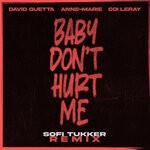 cover: Anne-Marie|David Guetta|Coi Leray - Baby Don't Hurt Me (Sofi Tukker Remix)