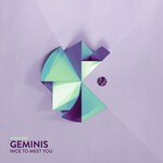 cover: Geminis - Nice To Meet You