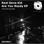 cover: Real Gone Kid - Are You Ready?