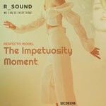 cover: Perfecto Model - The Impetuosity Moment