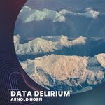 cover: Arnold Horn - Data Delirium