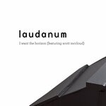 cover: DJ Need|LAUDANUM FEAT SCOTT MCCLOUD - I Want The Horizon