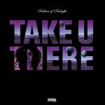 cover: Soldiers Of Twilight - Take U There