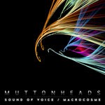 cover: Muttonheads - Sound Of Voice