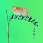 cover: Flume - Skin Companion EP I