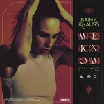 cover: Brina Knauss - We Know