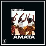 cover: Moniestien - Amata