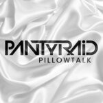 cover: Pantyraid - PillowTalk