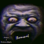 cover: Emiliano Naples|Emilove - Terminal