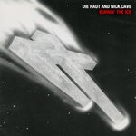 cover: Die Haut|Nick Cave - Burnin' The Ice