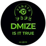 cover: Dmize - Is It True