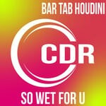 cover: Bar Tab Houdini - So Wet For U