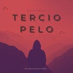 cover: Bruno Costa - Terciopelo