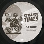 cover: Dj True - Feel The Vibe