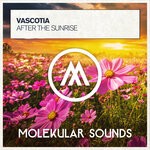 cover: Vascotia - After The Sunrise