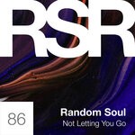 cover: Random Soul - Not Letting You Go