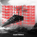 cover: Gudi - Times Like These (Remix)