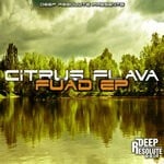 cover: Citrus Flava - Fuad EP