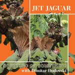 cover: Dimitar Dodovski|Jet Jaguar - Counting On Something