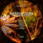 cover: Gherasim Cosmin - Stories From The Past