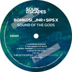 cover: Bonkosi_Jnr|Sips X - Sound Of The Gods