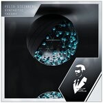 cover: Felix Steinberg - Synthetic Theory