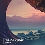 cover: Ypedo - I Said I Know