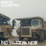 cover: Sweet Tempest - White Country (No Bloom Now Remix)