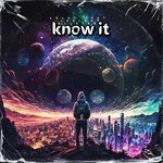 cover: Leeloop All Stars - Know It