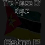 cover: Astro P - The House Of Bique