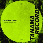 cover: Lucien Le Grub - Moonpark