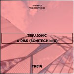 cover: Tebu.sonic - A Risk (Sonitech Mix)