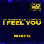 cover: Luv Foundation (uk)|Mary Kiani - I Feel You (Mixes)