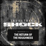 cover: _digi.slave|Sidephex|100 Kilo Maarten - The Return Of The Roughness