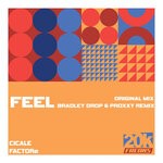 cover: Cicale|Factore - Feel