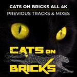 cover: Cats On Bricks - 4K