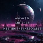 cover: Lestr - Snitchez / Meeting The Impeccable