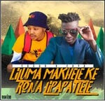 cover: Faya|Focus - Liluma Makhele Ke Rona Lipapatlele