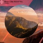 cover: J Nixxon - What I Like About You