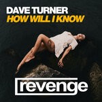 cover: Dave Turner - How Will I Know (Original Mix)