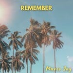 cover: Mario Joy - Remember