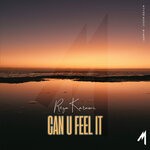 cover: RezaKarami - Can U Feel It