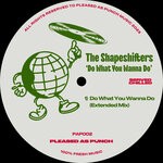 cover: The Shapeshifters - Do What You Wanna Do