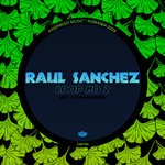 cover: Raul Sanchez (chile) - Loop No 2